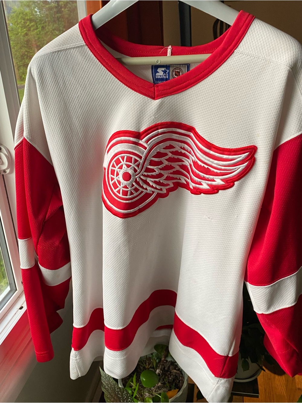 Detroit Red Wings White and Red Hockey Jersey